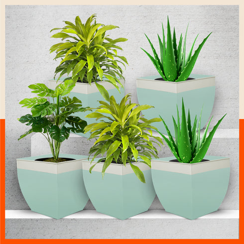 MYLA Metal Square Planters / Pots for Home / Garden / Balcony | Large– Blue & White - Set of 5